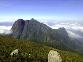 imagem 2023 07 03 175431882