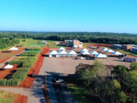 imagem 2023 07 05 103721715