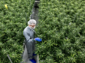 imagem 2023 07 27 110150418