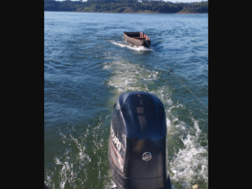 imagem 2023 07 31 092741913