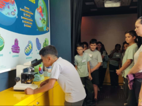 imagem 2023 07 31 172529225