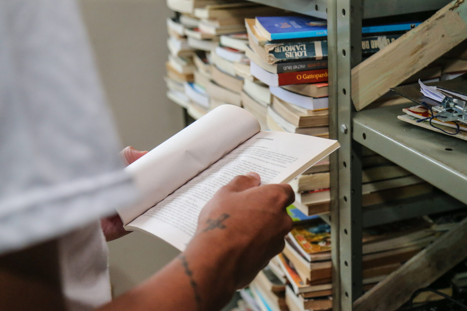leitura24