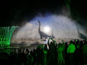 Wonder Park registra crescimento recorde em dezembro de 2024