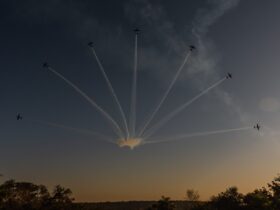 4368a125 141e 4e98 844a 28e6f6d89607 2