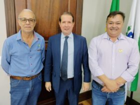 709538ae 0338 4012 972a f29a2401bf19