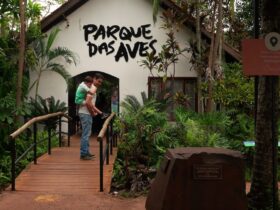 73fbdf8a 010d 4c8c a144 86ea864809b7