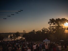 94d481a5 bb93 4383 9e22 896e4a3b6353