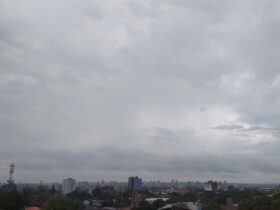 WhatsApp Image 2023 08 18 at 11.01.24