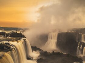 aaba56ae 4952 4180 9558 716291216d28