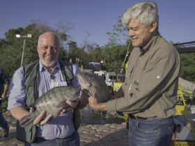 itaipu tilapia3w4