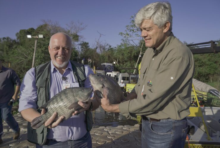 itaipu tilapia3w4
