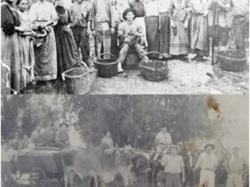 italianos brasil