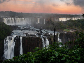 unnamed 2023 08 22T145808.087