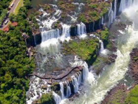 1c1b4ed9 38ac 48e4 925b 026524aa1e81