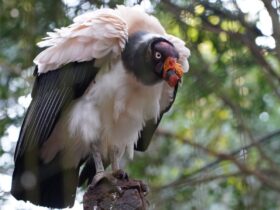 1c4077bd b99b 431c b81d ed988323631e