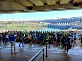 1f51b168 3c7a 4022 80b6 243fe676a21d