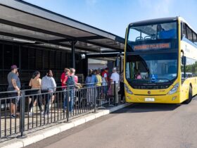 33ddc500 cad8 4607 9a8c 03474bed83cf