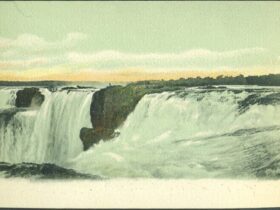 3f38c70c 1084 4114 987a 079f35343d05