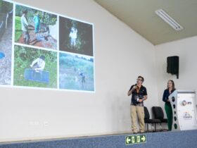 40e208b5 a04a 4a12 9672 2ebe903e513c