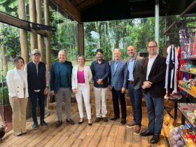 6ed90380 052e 4c0f ba2c 1c1317941490