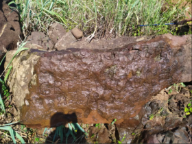 Captura de tela 2023 09 08 150823