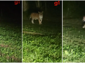 Captura de tela 2023 09 18 151922