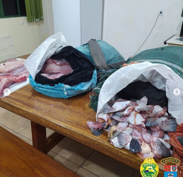 Polícia Ambiental prende suspeito com 54 kgs de peixe já limpo no Parque Nacional do Iguaçu 2 Captura de tela 2023 09 26 091034
