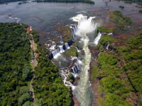 d53d32a6 8f26 45e9 854a 0762c32e534a