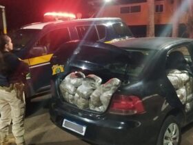 d6288276 9c78 48eb 8637 1c2fb6dd52b6