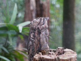 0edf1087 e66c 4a09 9809 069f176cda78