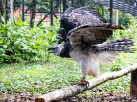 1eb3f795 88cd 4263 a06e 2e21410caa03