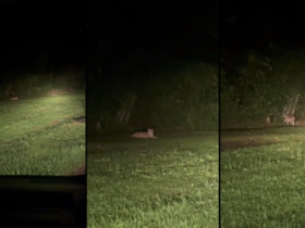 Captura de tela 2023 10 05 084947