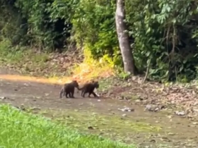 Captura de tela 2023 10 16 195954