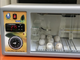 Captura de tela 2023 10 21 112135