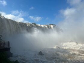 WhatsApp Image 2023 10 09 at 10.45.14