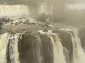 WhatsApp Image 2023 10 27 at 12.51.09