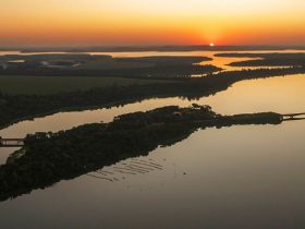 1134f687 7853 44fc a878 c1e21568f553