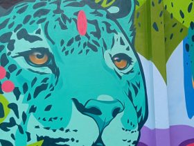 240e3159 2373 4460 876e 870f3f94bcb4