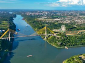 4b3edc71 3cef 47c6 99bf 949dc8e83249