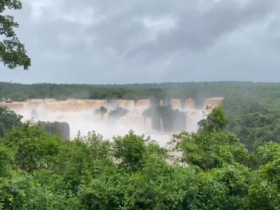 Captura de tela 2023 11 03 105425