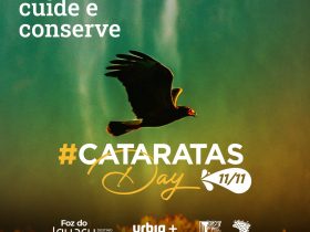 catarats day