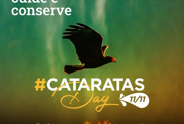 catarats day