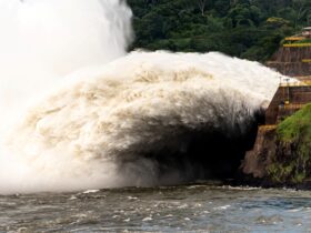 dd88f7bd d44b 48e3 8bfd 5efc97f14060