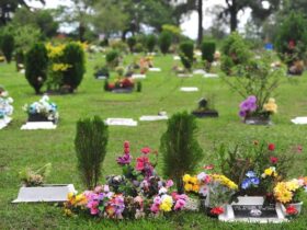 efb29b85 5886 48cb 9f32 d9899cd010d8