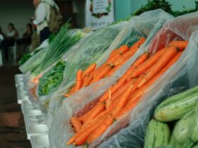 f1984537 0bcf 43ef b108 4827a3390de8