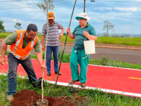 imagem 2023 11 23 150314384