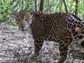 unnamed 2023 11 19T105310.329