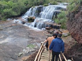 alessandro vieira 19 1 guartela