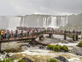 c13318b9 d3cb 4eea 9b12 21338a9cbe5b