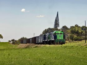 ferroeste